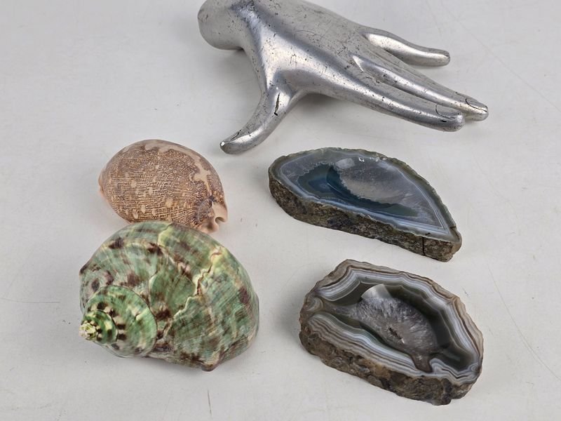 Lote de Piedras Naturales y Caracolas Marinas para Decoración