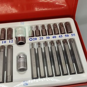 Juego de Puntas Torx, Multi Torx y Allen de 41 Piezas con Estuche Metálico - imagen 3