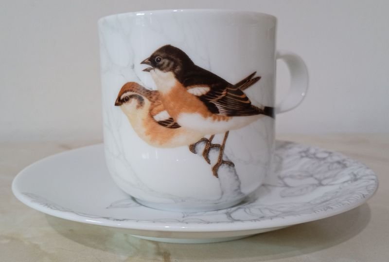 Taza y platillo de Porcelana JAPONESA, marca HOYA - imagen 5