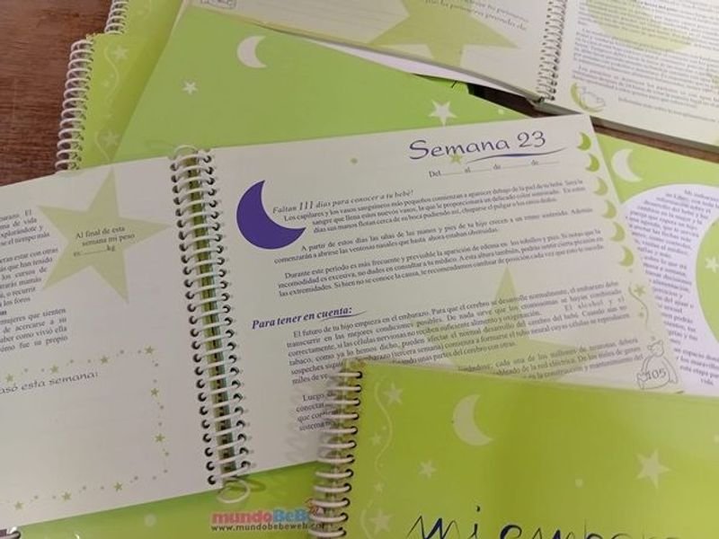 Lotes de agendas para embarazadas - imagen 4