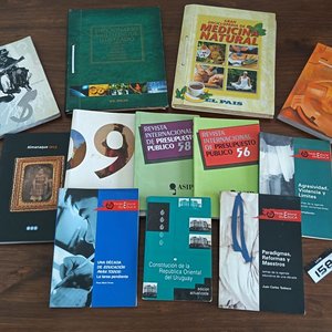 Lote de Libros: Enciclopedia Medicina Natural, Diccionario Multilingüe, Almanaques y Revistas - imagen 1