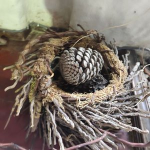 Adornos de Ramos Secos con Piña y Flores - imagen 2