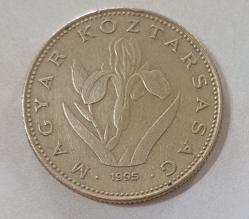 Item 837318 - Image 0