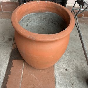Lote anterior: Gran maceta 