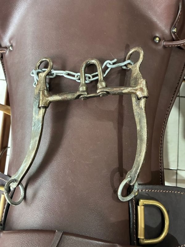 Freno blando con patas móviles para vehículos - imagen 2