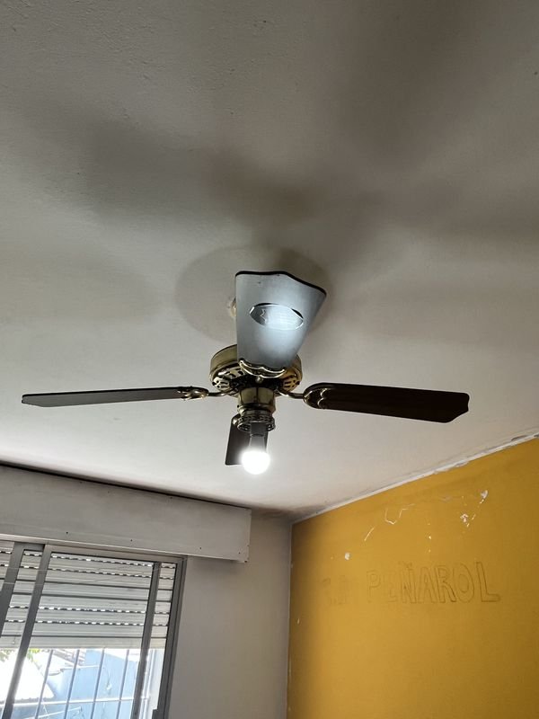 Item 878861 - Image 1