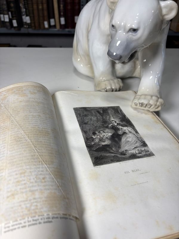 Libros antiguos con estatuas de león y oso polar - imagen 4