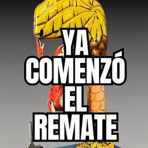 ¡Colección de Oro! Juguetes, Vehículos y Tecnología en una sola subasta
