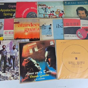 Selección de Vinilos de Música Variada - imagen 3