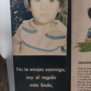 Lote de Libros de Estudio, Colecciones y Textos Varios - imagen 17