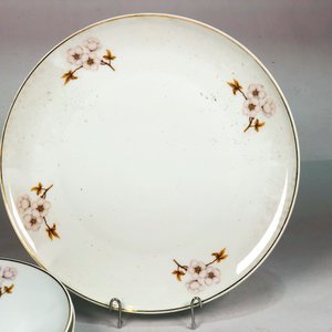 Conjunto de 7 Piezas de Porcelana Schmidt: Plato Central y Platos de Postre con Flores - imagen 4