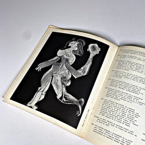 Catálogo de Obras de Picasso - Edición 1973 - imagen 7