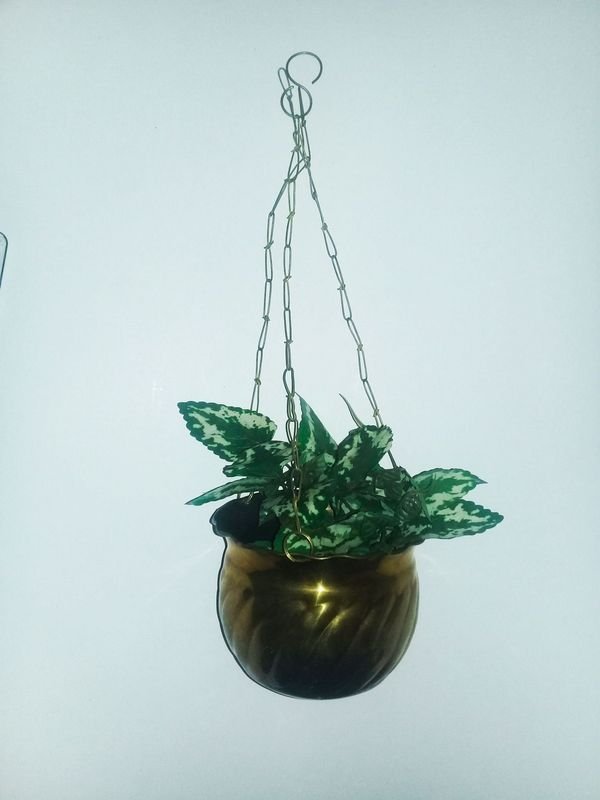 Maceta colgante de bronce con planta artificial - imagen 1
