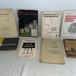 Lote de Libros sobre Adolescencia, Educación y Psicología - imagen 3