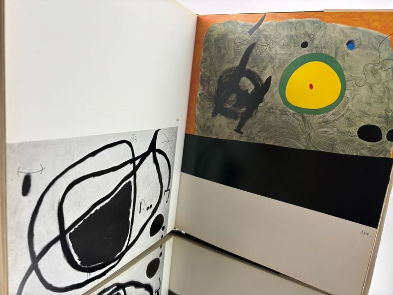 Libro sobre la obra y producción artística de Joan Miró - imagen 8