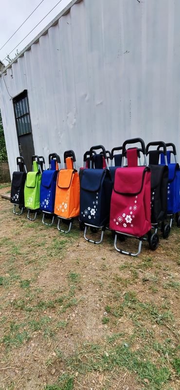 Carritos de Compras para Feria en Varios Colores
