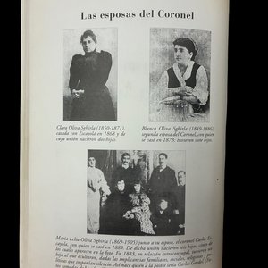 Lote anterior: Libro Carlos Gardel a la Luz de la Historia por Nelson Bayardo