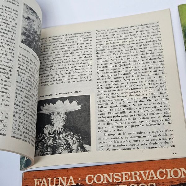 Libros sobre temas del Uruguay - imagen 3