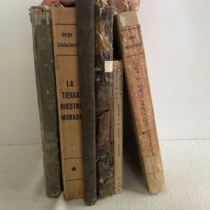 Lote de Libros Antiguos de Geografía y Estudio: Principios Siglo XX y Años 50 - imagen 4