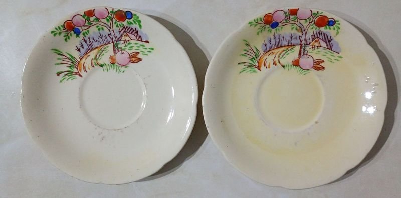 Platillo de Loza Japonesa "Ideal Iron Stone China" con Cerezos - Precio por Unidad