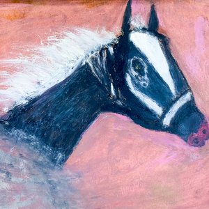 Cuadro Óleo "Caballo Negro" Firmado Nilda Poppolo - 33x23cm - imagen 2