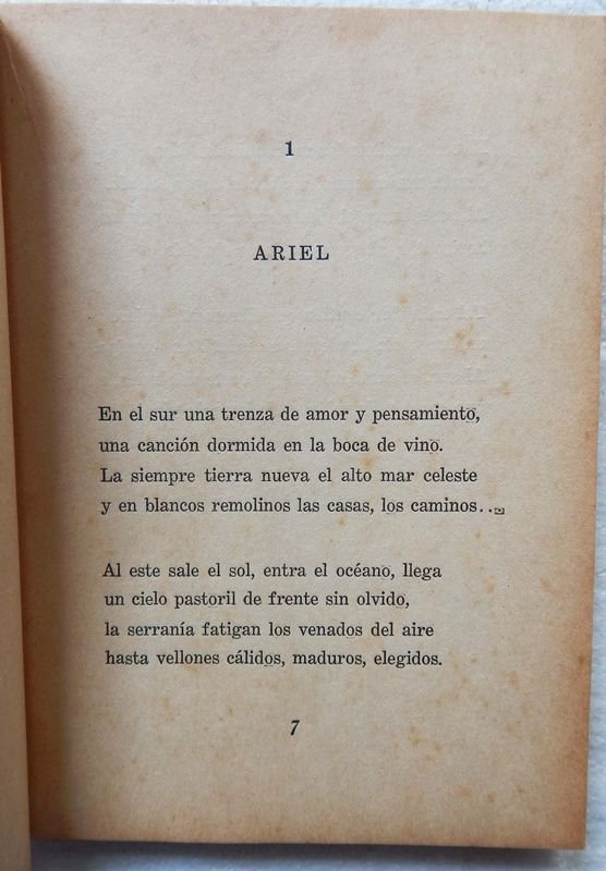 Libro de poesías de Uruguay González Poggi - imagen 3