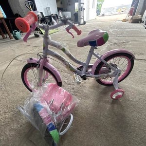 Lote anterior: Bicicleta Infantil Rosa con Rueditas de Apoyo