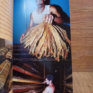 Libro "Habanos para el Placer": Historia y Fabricación - imagen 1