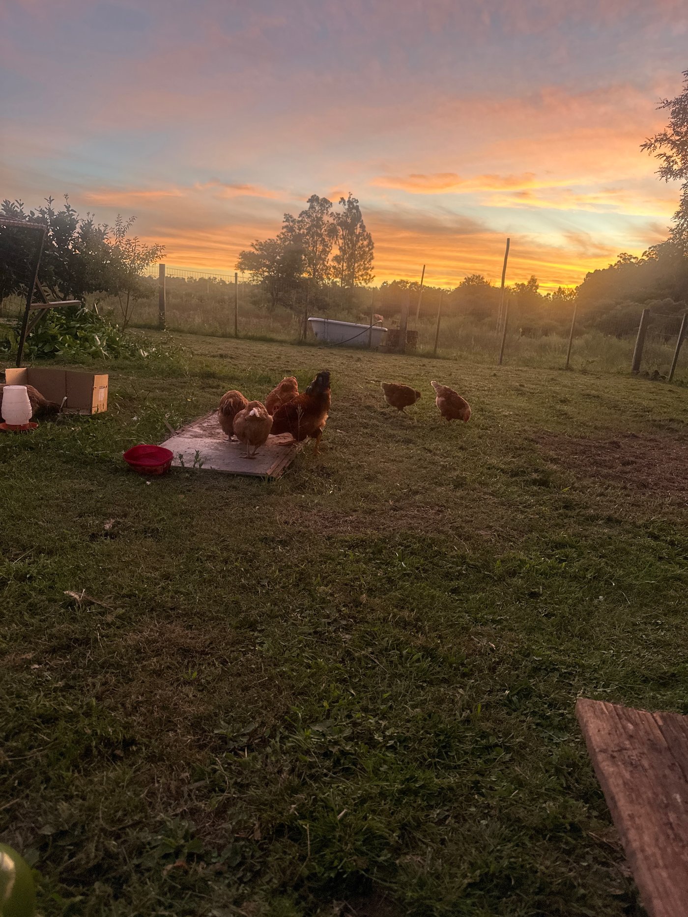 Item 18545 - Image 0