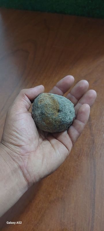 Item 900874 - Image 2