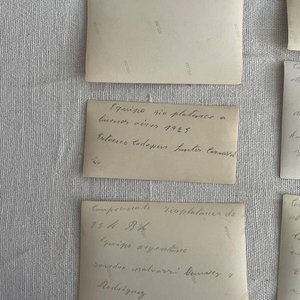 Fotos Históricas Campeonato Rioplatense Ciclismo Equipos Uruguay Argentina 1925 - imagen 6
