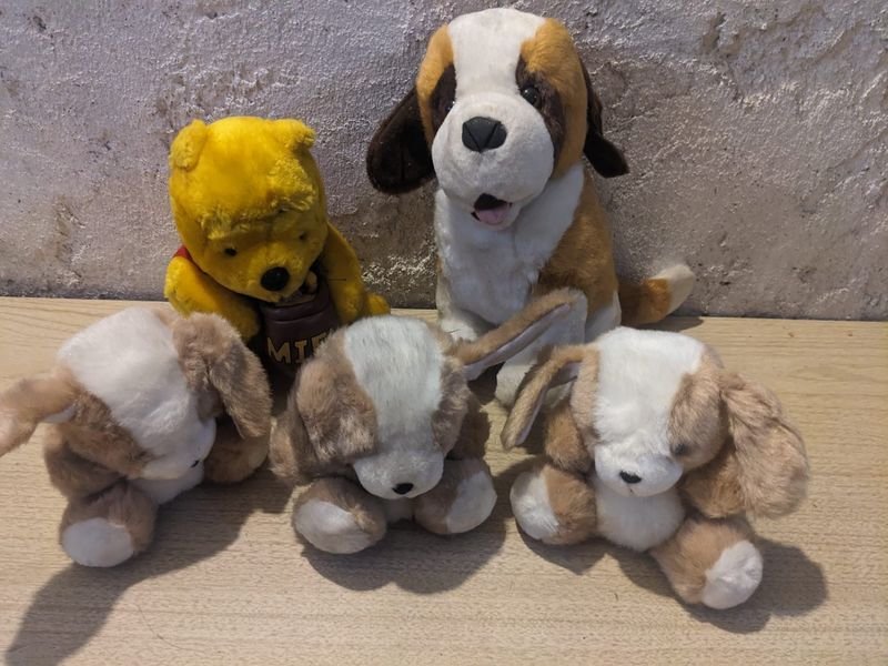 Item 861479 - Image 0