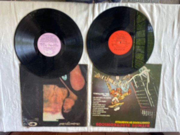 Lote de 2 Discos de Vinilo Usados