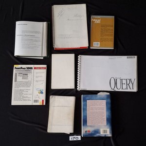 Lote de Manuales y Guías de Software y Sistemas Operativos Vintage - imagen 2