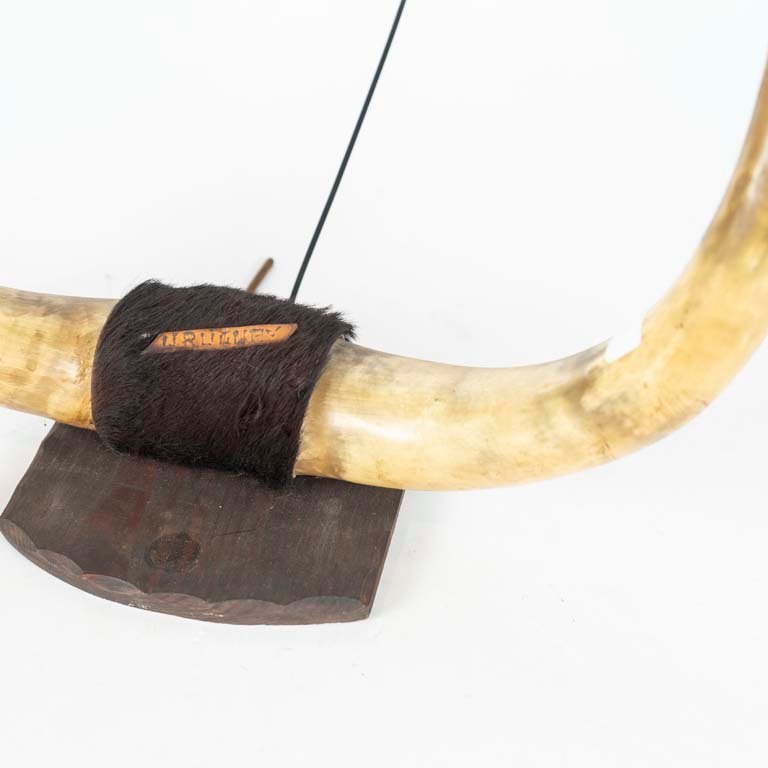 Item 2098256 - Image 1