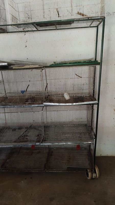 Item 869949 - Image 2