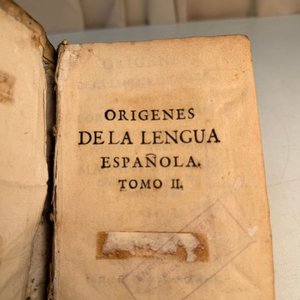 Antiguos Tomos de 1737: Orígenes de la Lengua Española, Forrados en Cuero - imagen 5