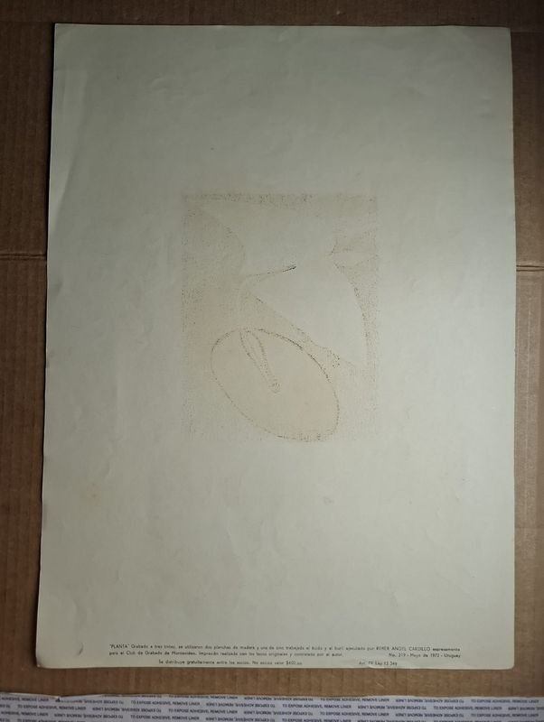 Item 859511 - Image 1