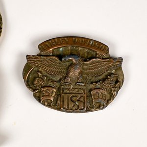 Lote de 4 piezas: Medalla "AJRP", Estatuilla bronce, Medalla "Bravo" y Hebilla Harley-Davidson - imagen 6