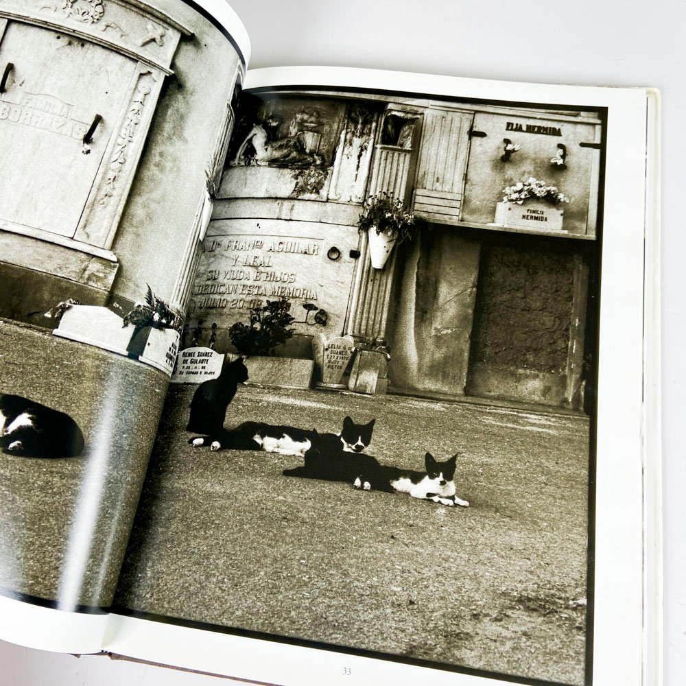 Item 492639 - Image 2