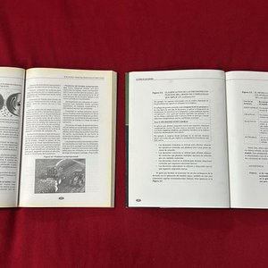 Libros "Silos de Maíz y Sorgos" y "La Toma de Decisiones" - imagen 2