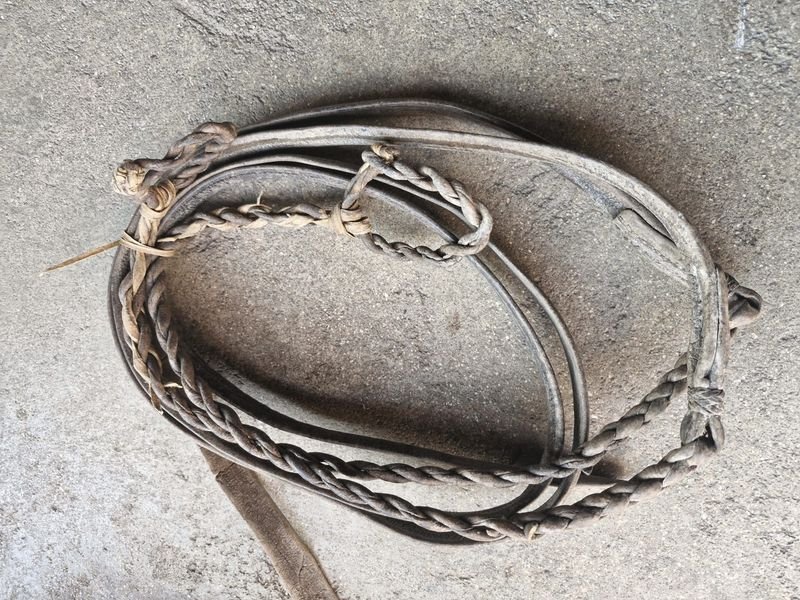Juego de Riendas de Cuero Trenzado para Caballo