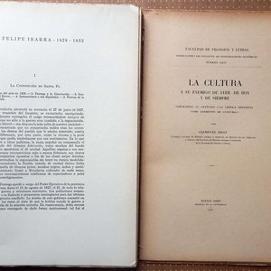 Trilogía de Libros Históricos Argentinos: Yrigoyen-Perón, Cultura y Juan Felipe Ibarra - imagen 2