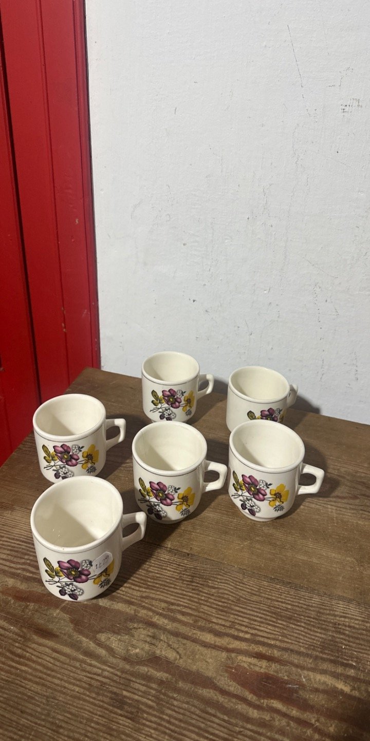 Juego de 6 Tazas de Café con Flores