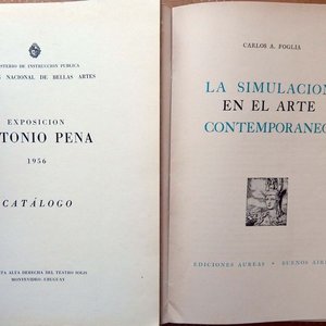 Catálogo Exposición Antonio Pena 1956 y Libro La Simulación en el Arte Contemporáneo Carlos Foglia - imagen 2