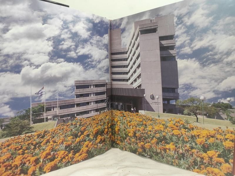 Item 857941 - Image 3