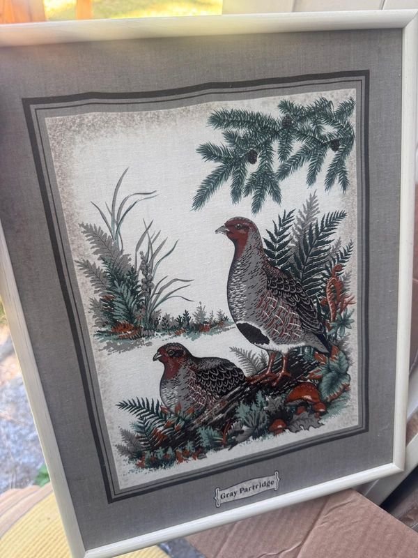 Colección de cuadritos decoración estilo aves - imagen 4