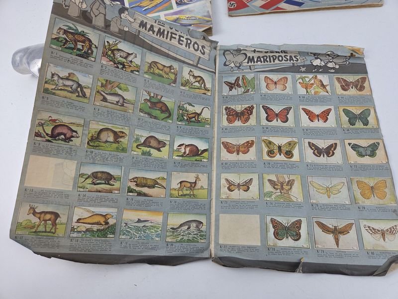 Colección de Álbumes Antiguos con Ilustraciones Coloridas - imagen 3