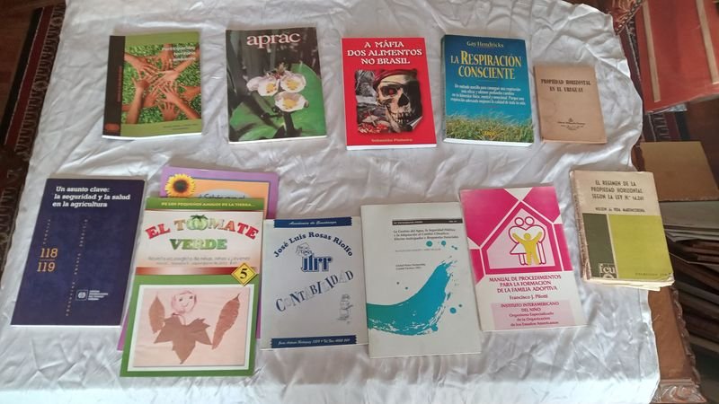 Item 891454 - Image 1