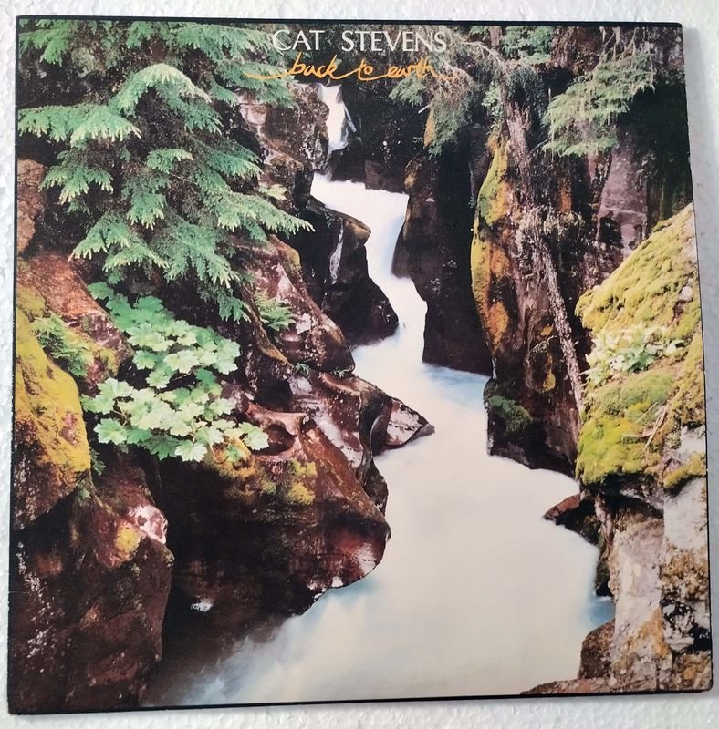 Lote anterior: Vinilo de Cat Stevens - Back to Earth (1978)